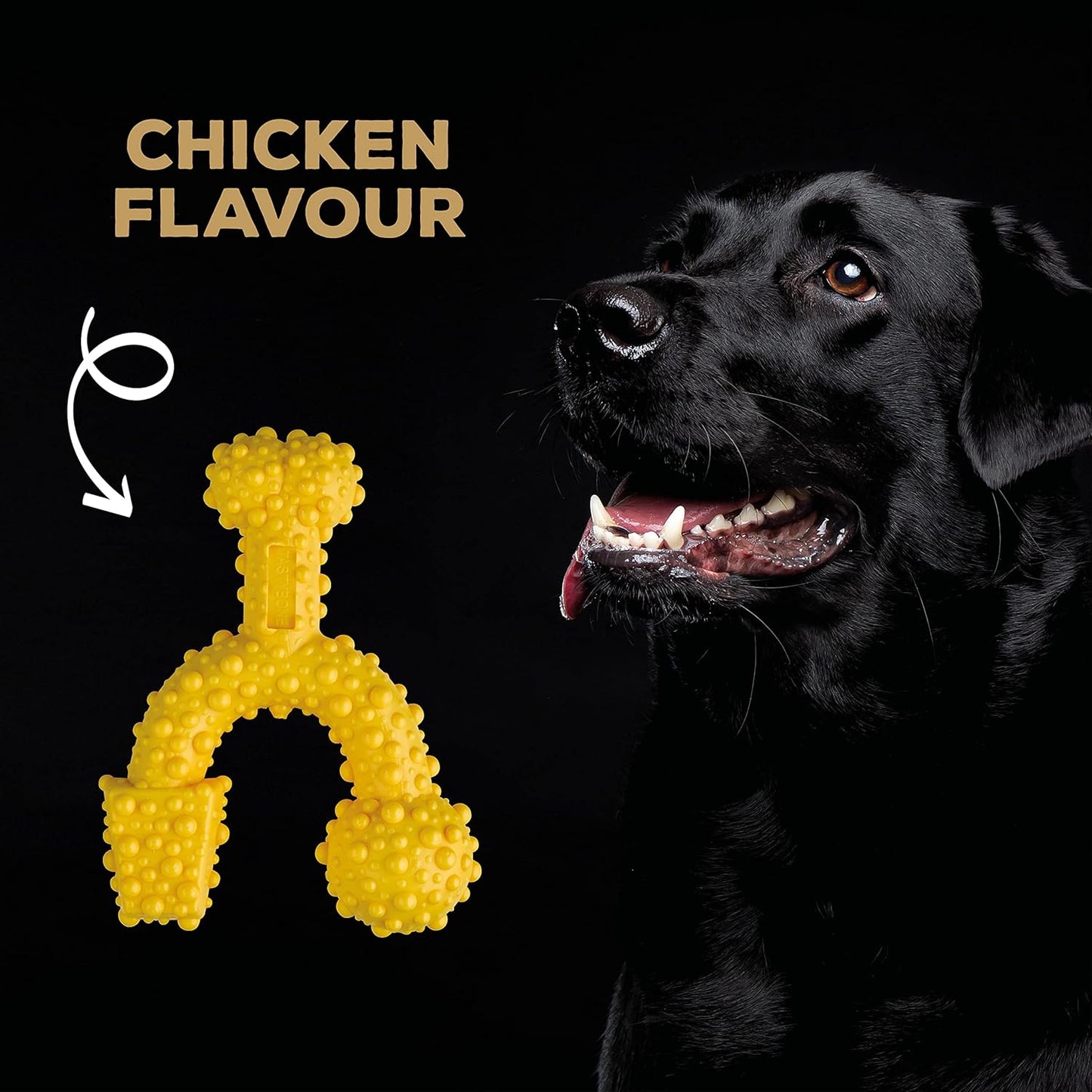 Tastybone Trio Bone Large Chicken
