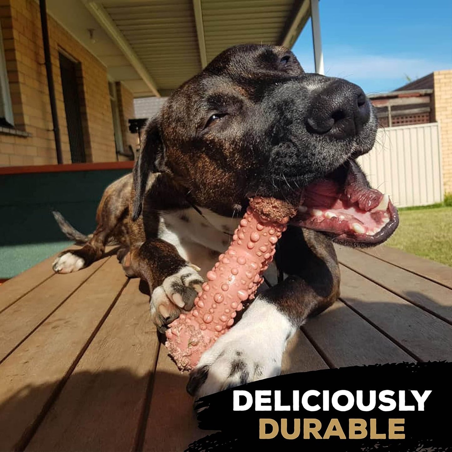 Tastybone Trio Bone Large Bacon