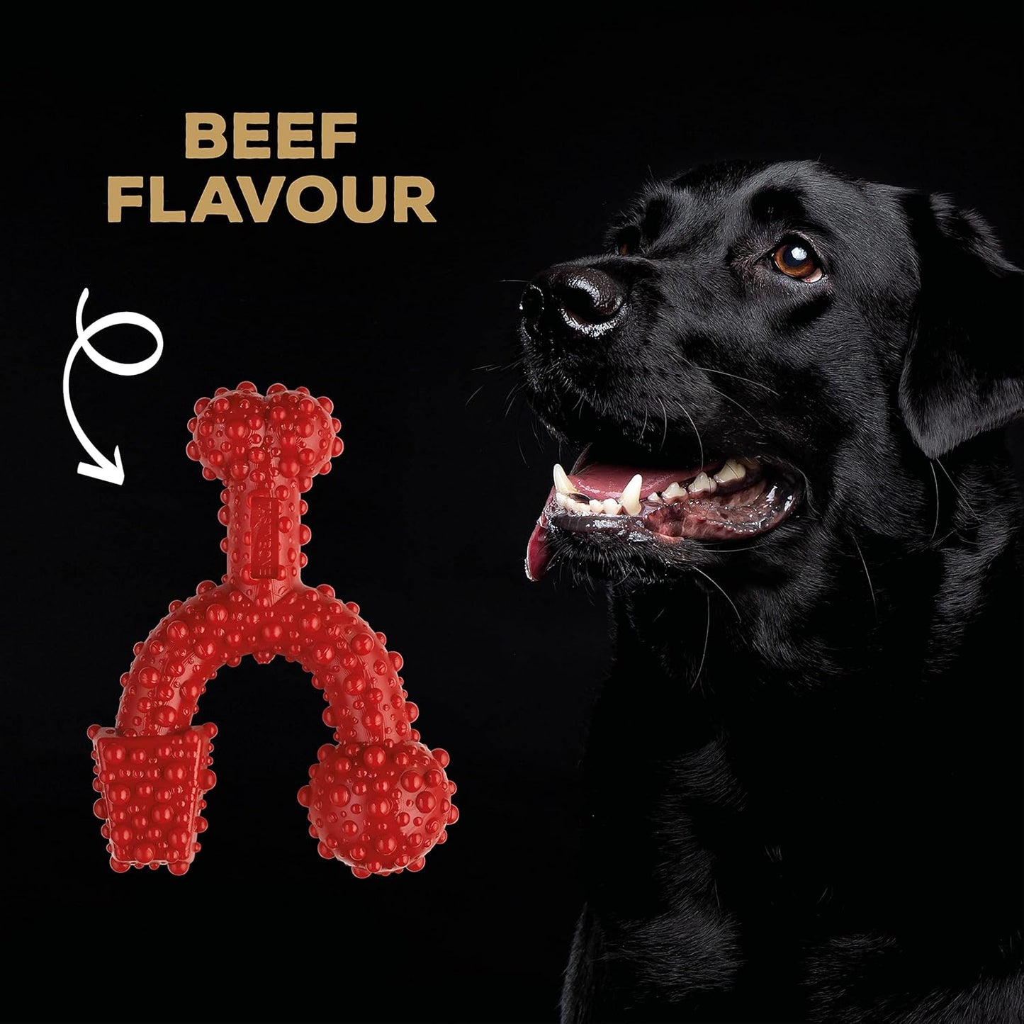 Tastybone Trio Bone Large Beef