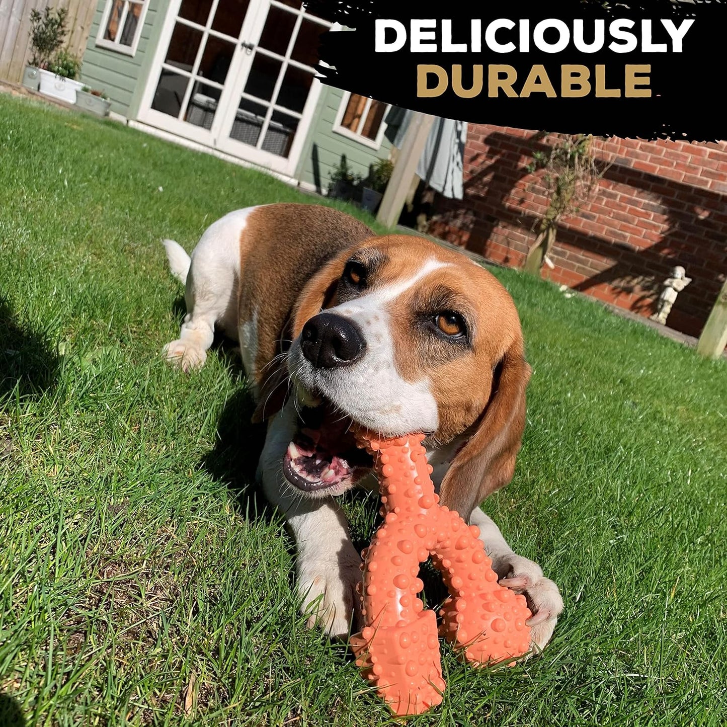 Tastybone Trio Bone Small Bacon