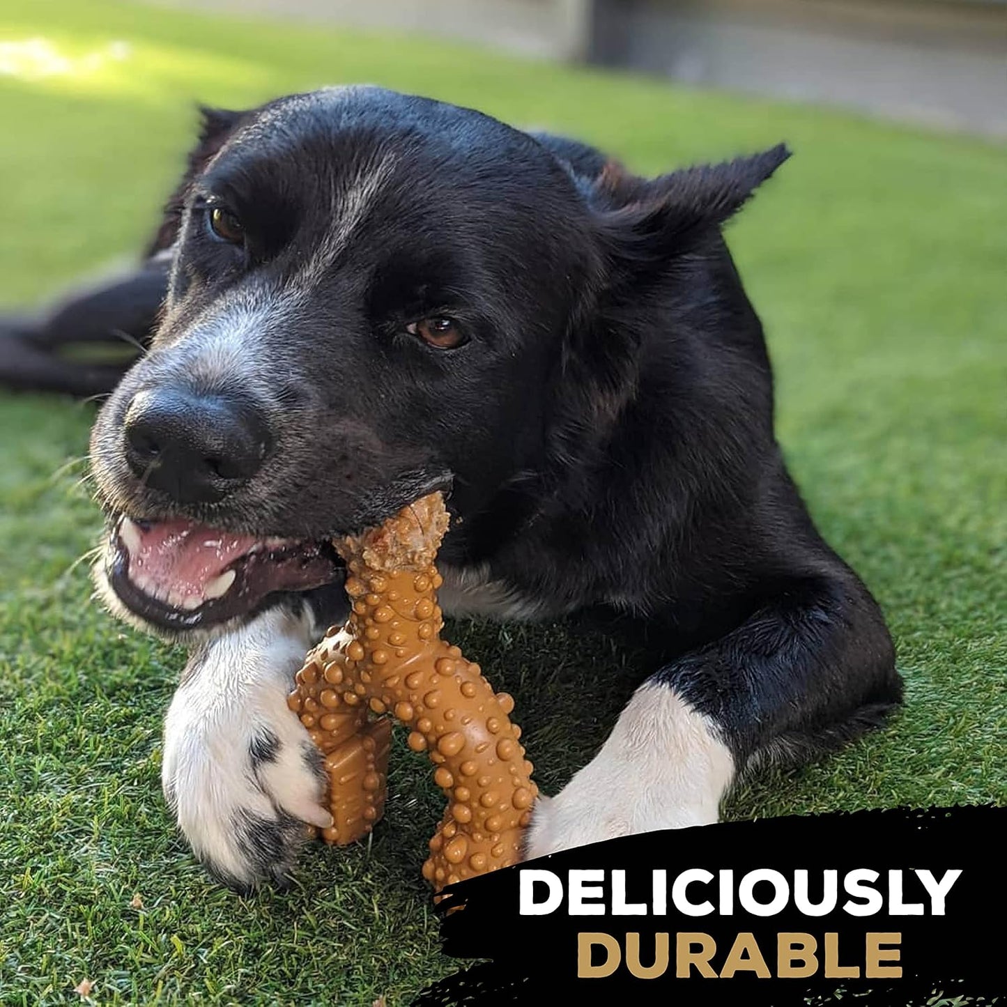 Tastybone Trio Bone Small Peanut Butter