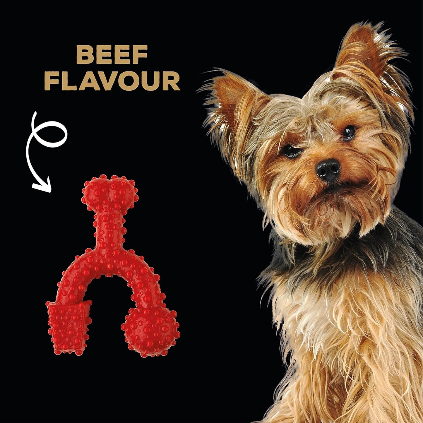 Tastybone Toy Trio Bone Beef