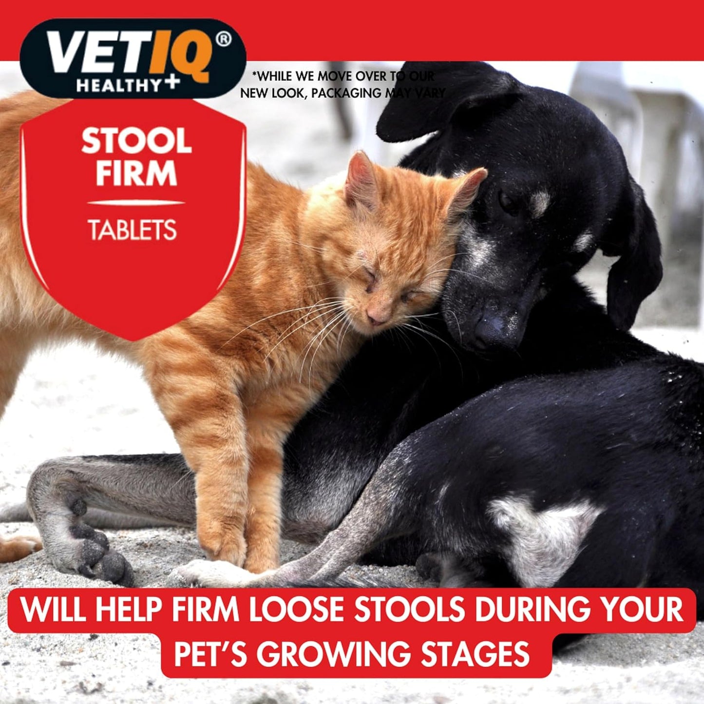 VetIQ Stool Firm 45 Tablets