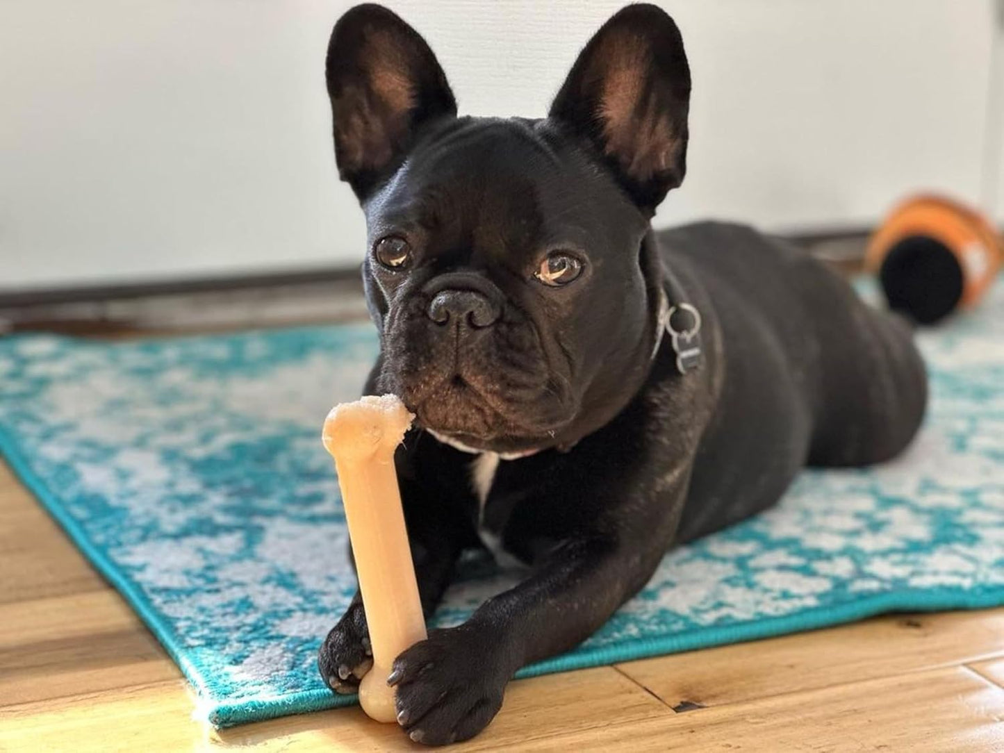 Nylabone Dura Chew Wolf Original