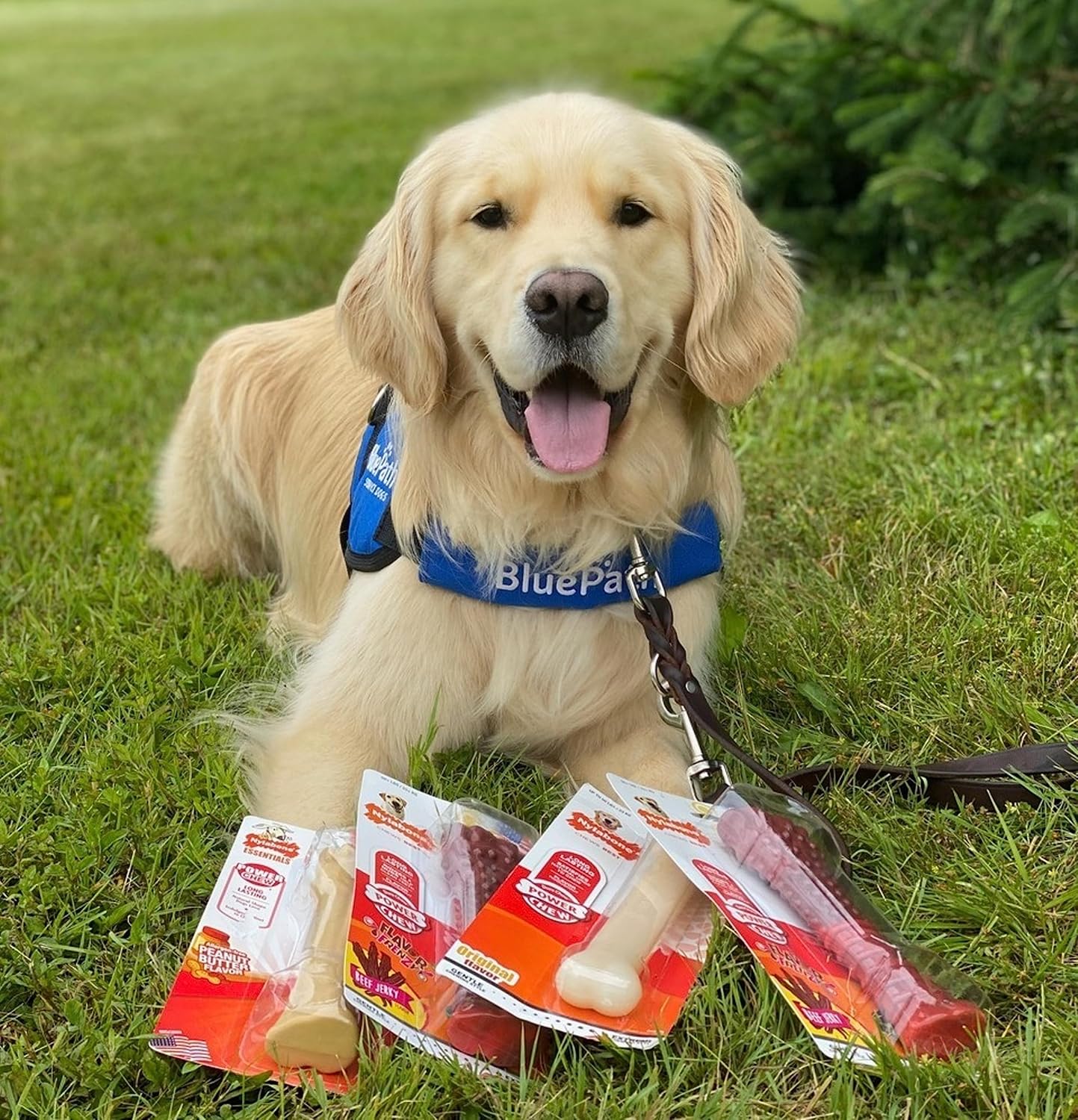 Nylabone Dura Chew Original Giant