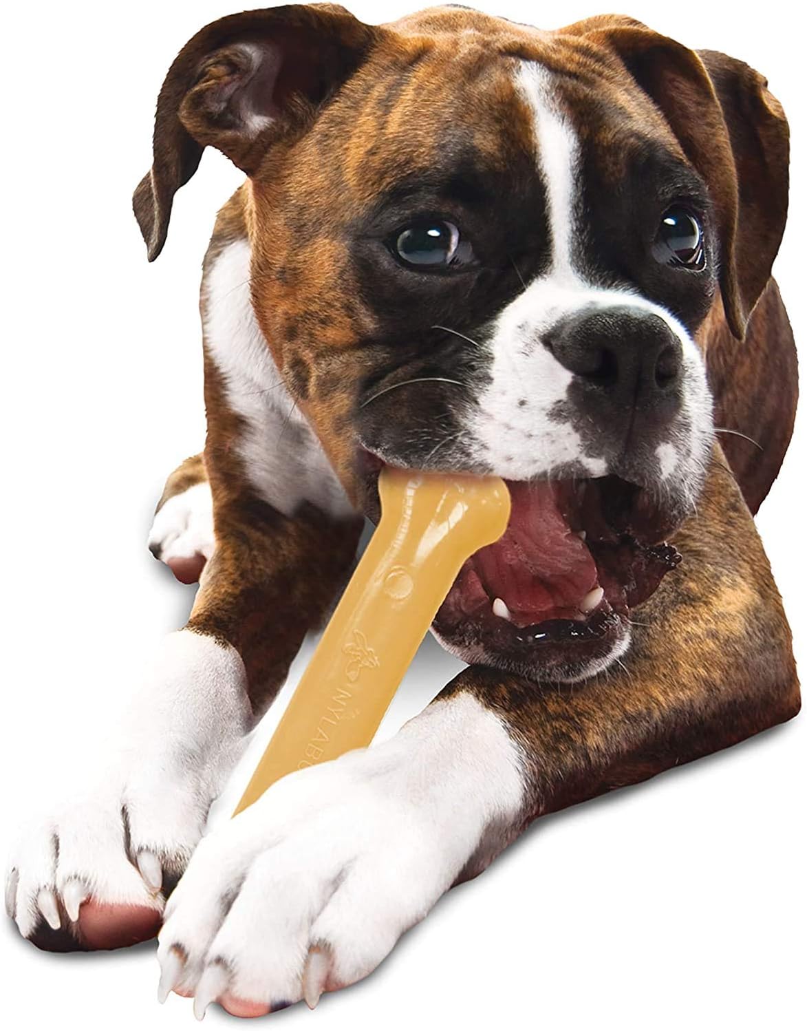 Nylabone Dura Chew Original Giant
