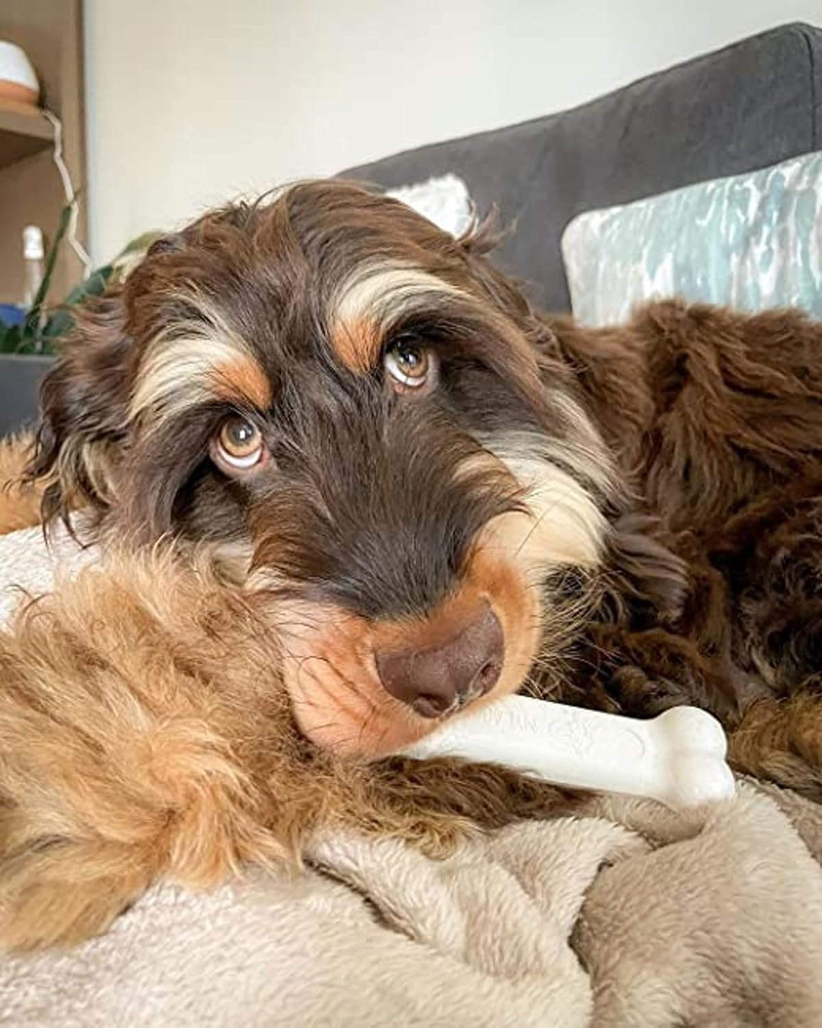 Nylabone Dura Chew Chicken Giant