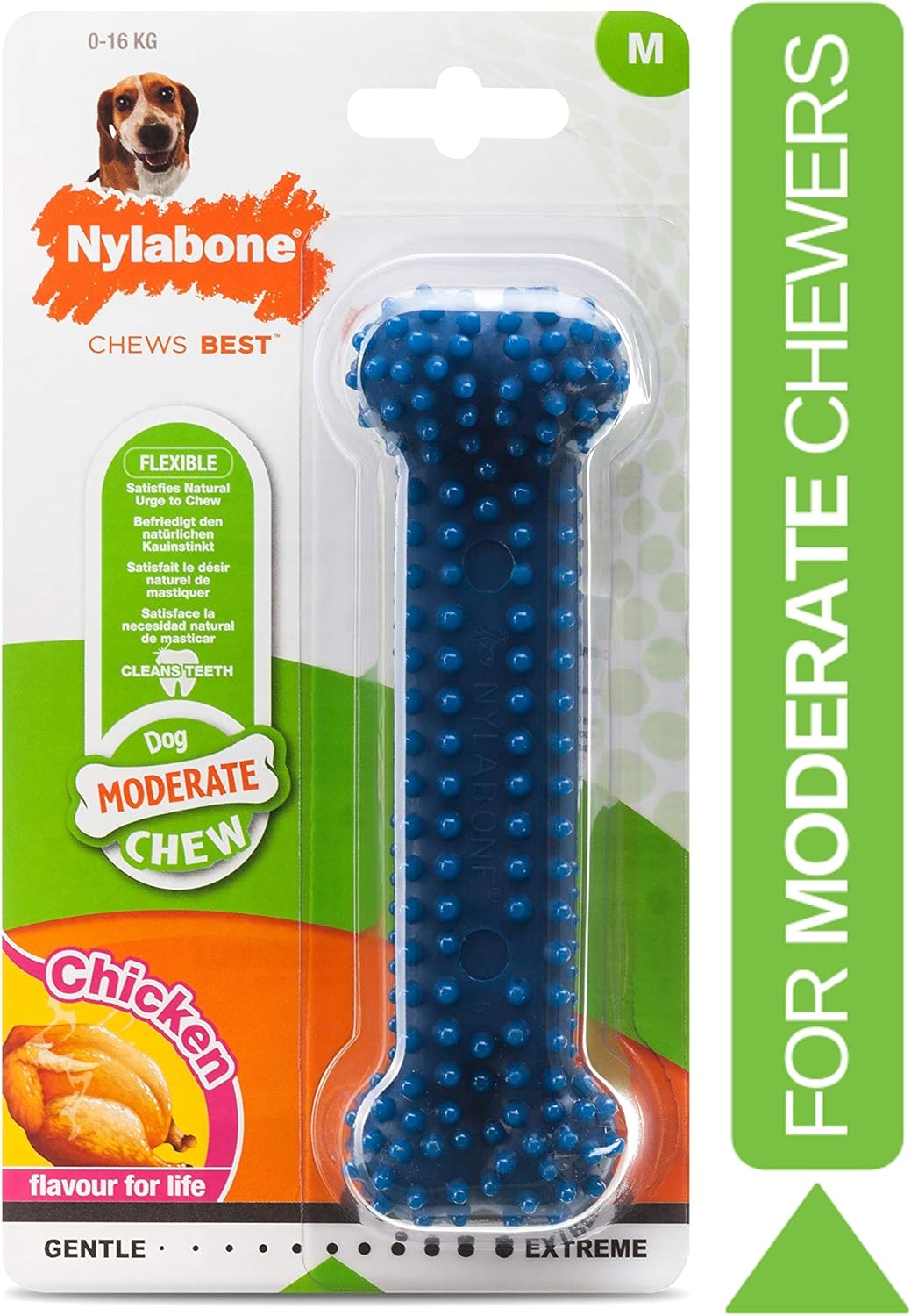 Nylabone Dental Chicken Bone Medium