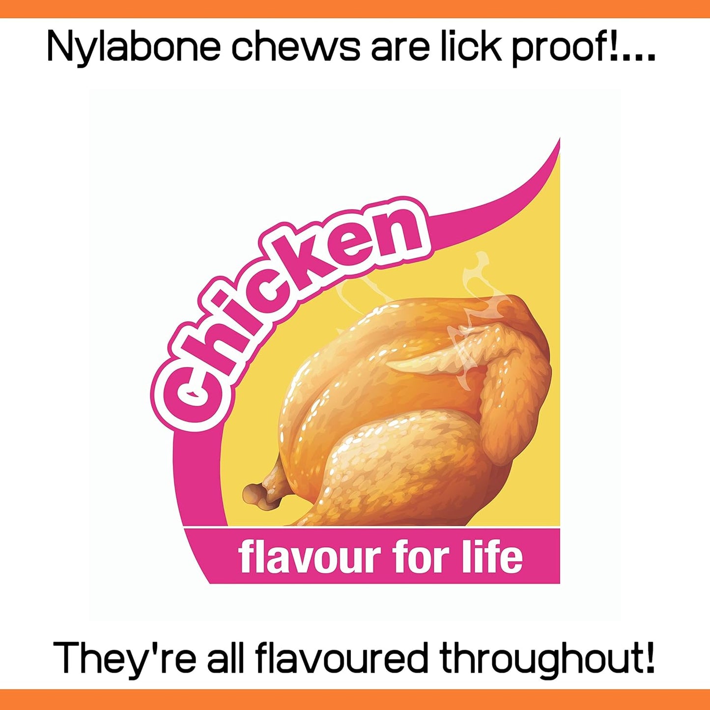 Nylabone Dental Chicken Bone Medium