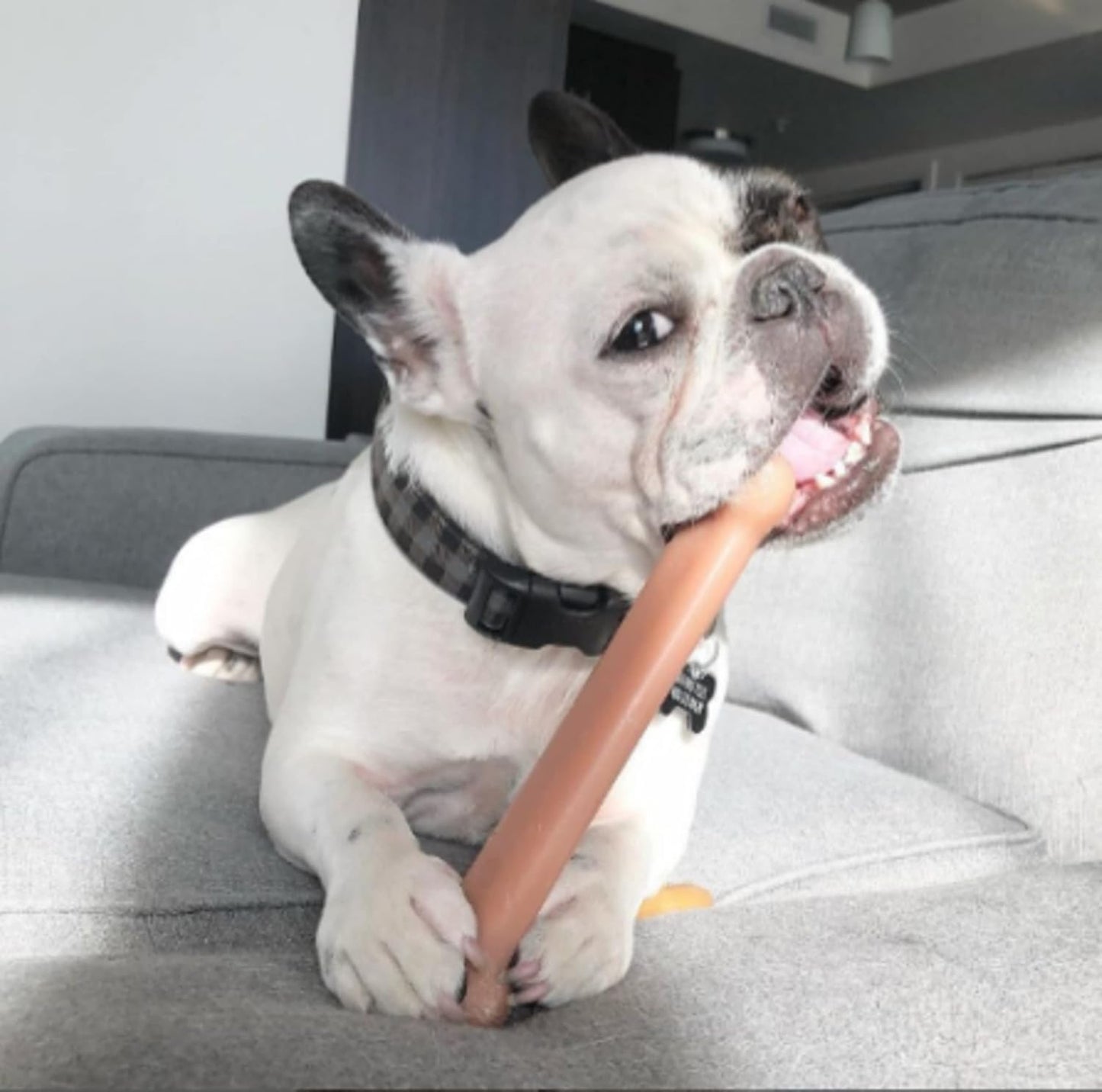Nylabone Dura Chew Giant Bacon