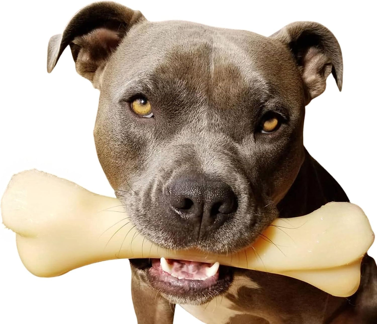Nylabone Dura Chew Monster Bone X Large