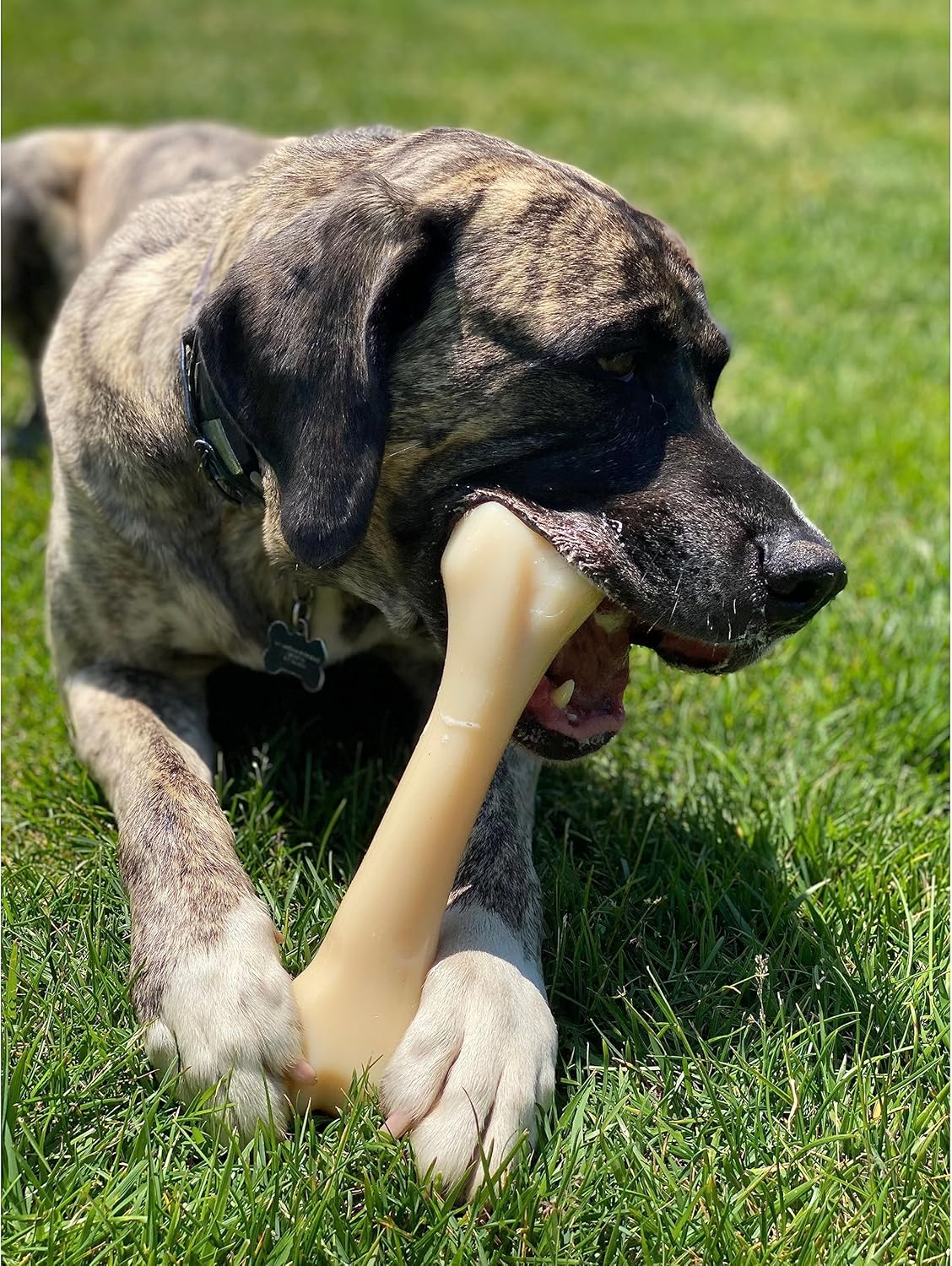 Nylabone Dura Chew Monster Bone X Large