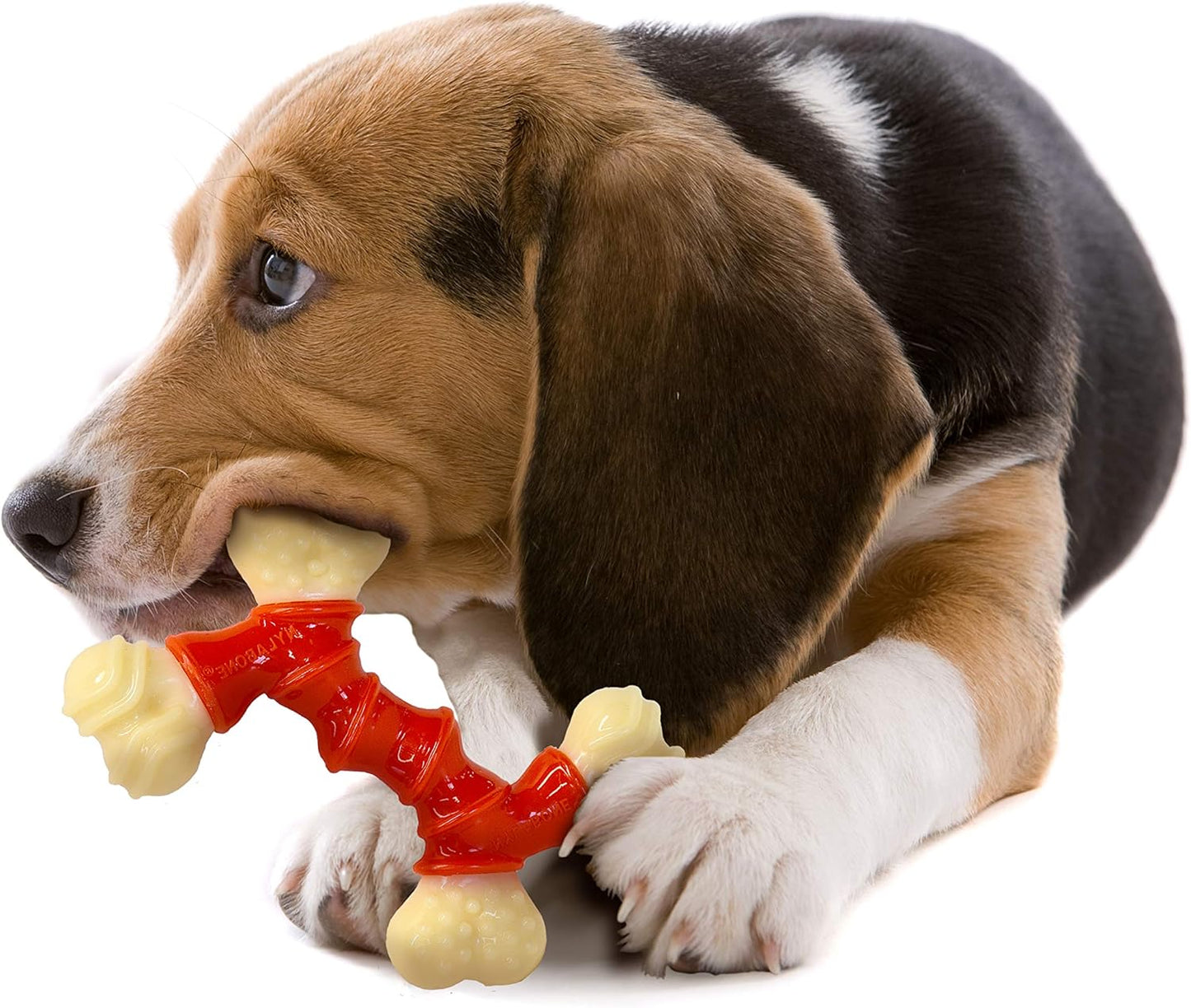 Nylabone Extreme Double Bone Bacon Medium