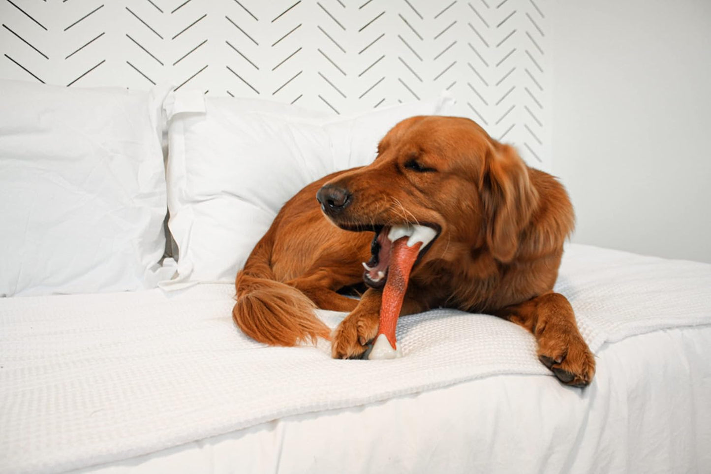 Nylabone Femur X Large Beef