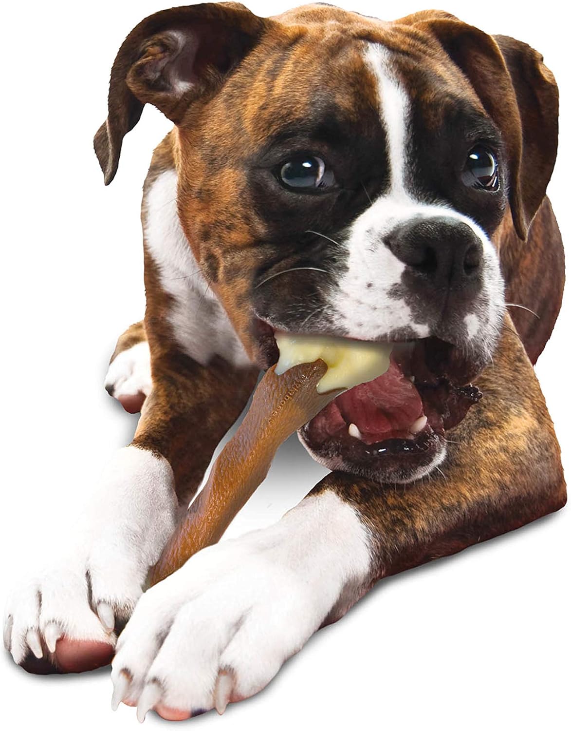 Nylabone Femur X Large Beef