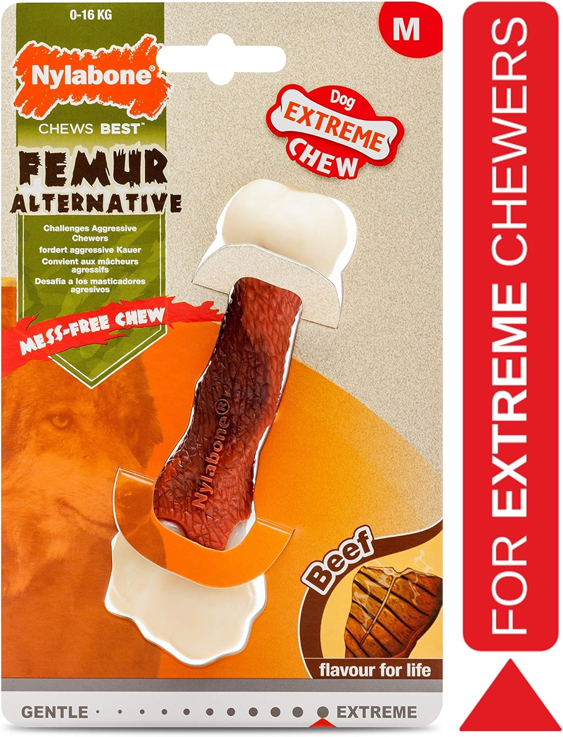 Nylabone Femur Medium Beef
