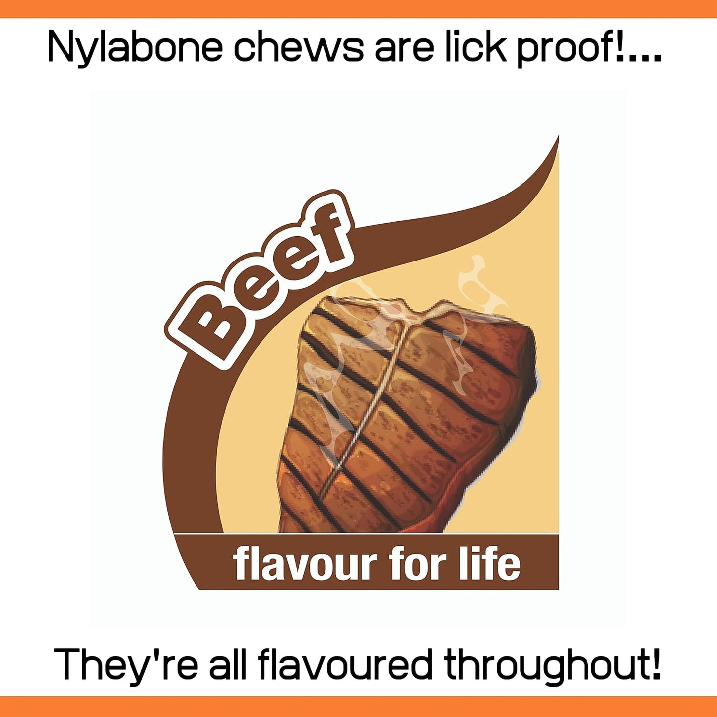 Nylabone Femur Medium Beef