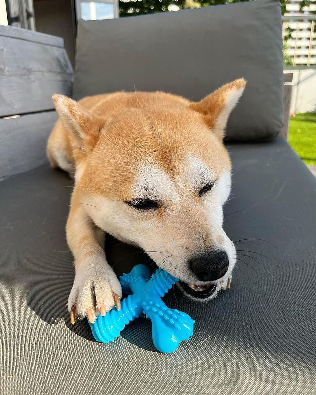 Nylabone Cross Bone Beef Small