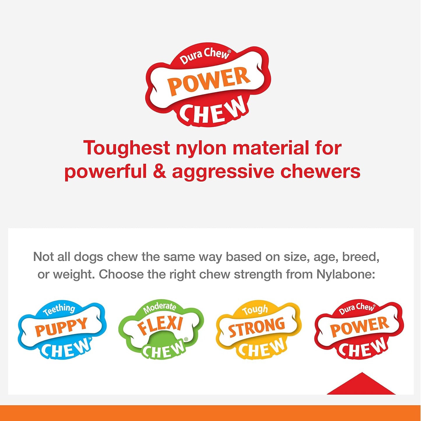 Nylabone Cheese Bone Medium