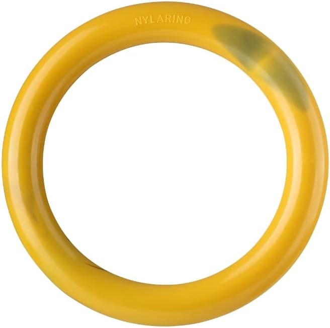 Nylabone Bacon Cheeseburger Ring