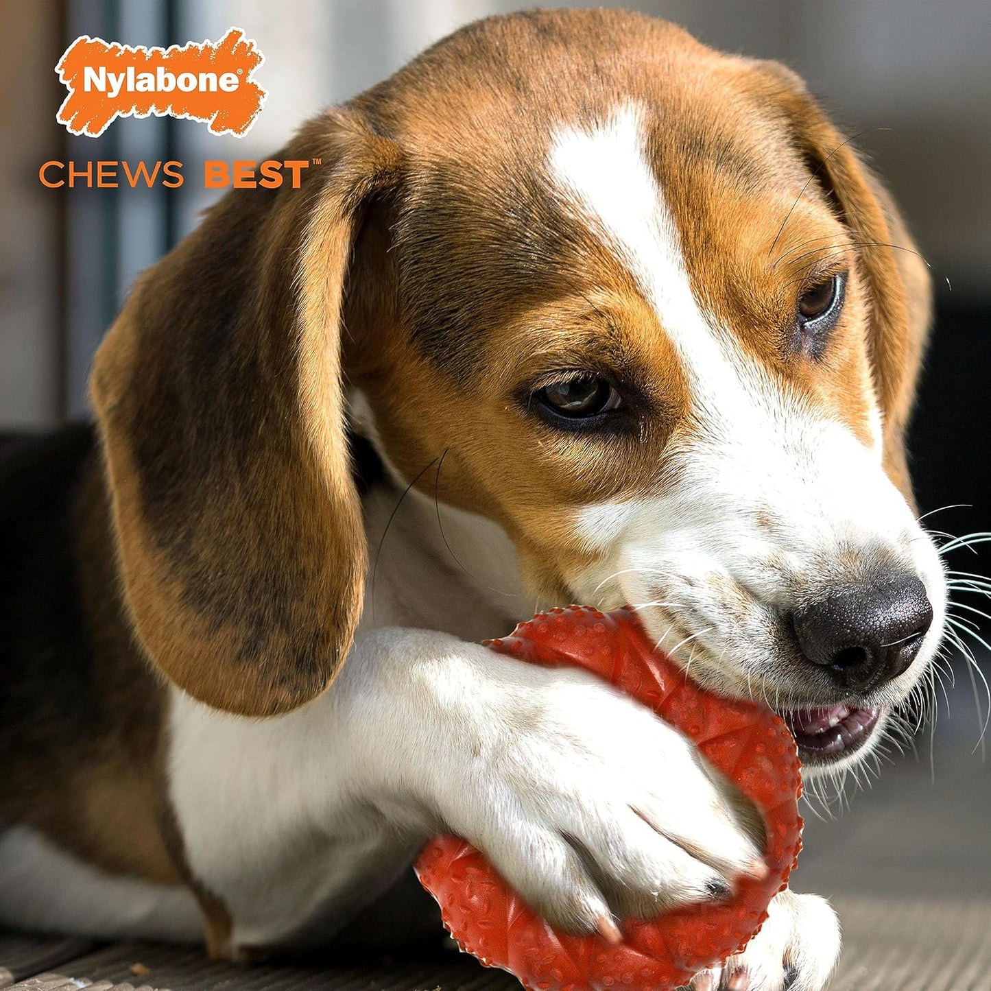 Nylabone Braided Rubber Ring Beef Medium