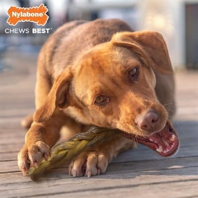 Nylabone Braided Bully Stick Large
