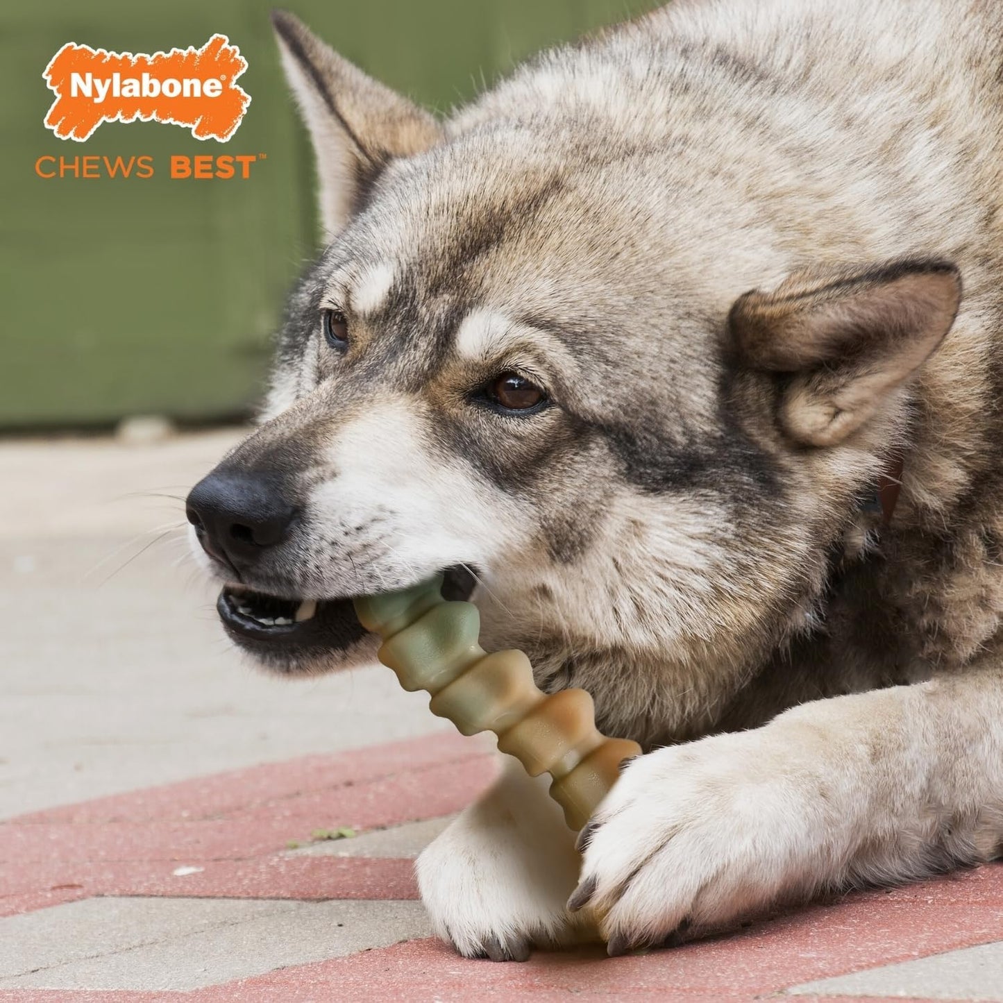 Nylabone Extreme Chew Gator Tail Chicken Large