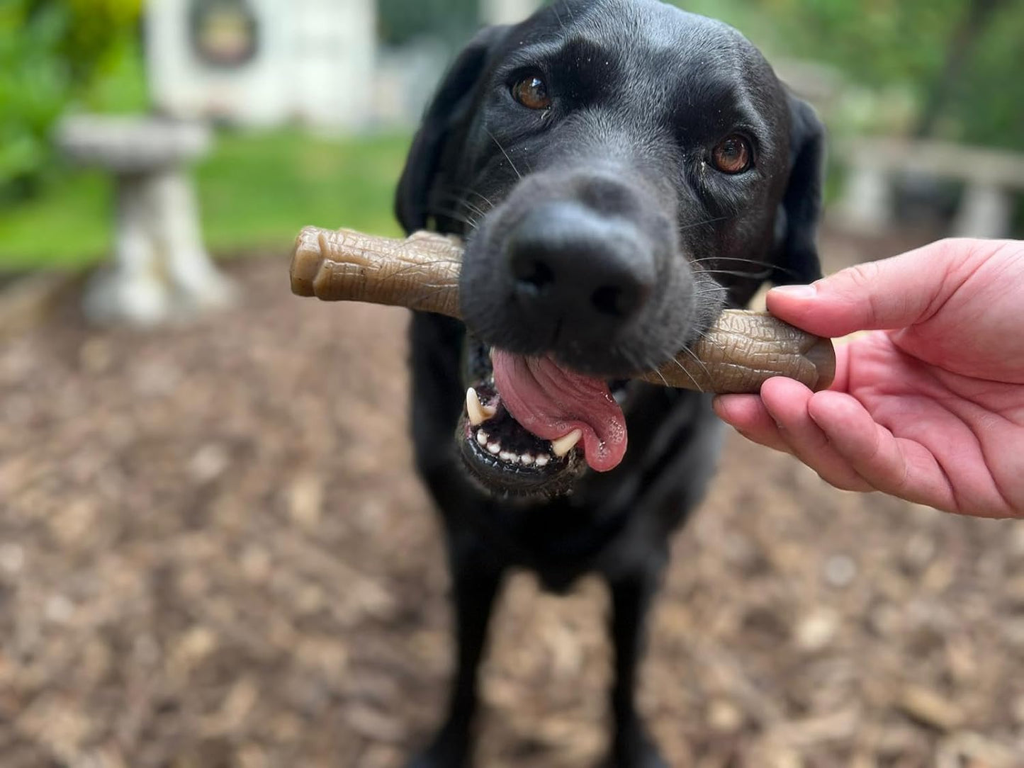 Nylabone Gourmet Stick X Large Peanut Butter