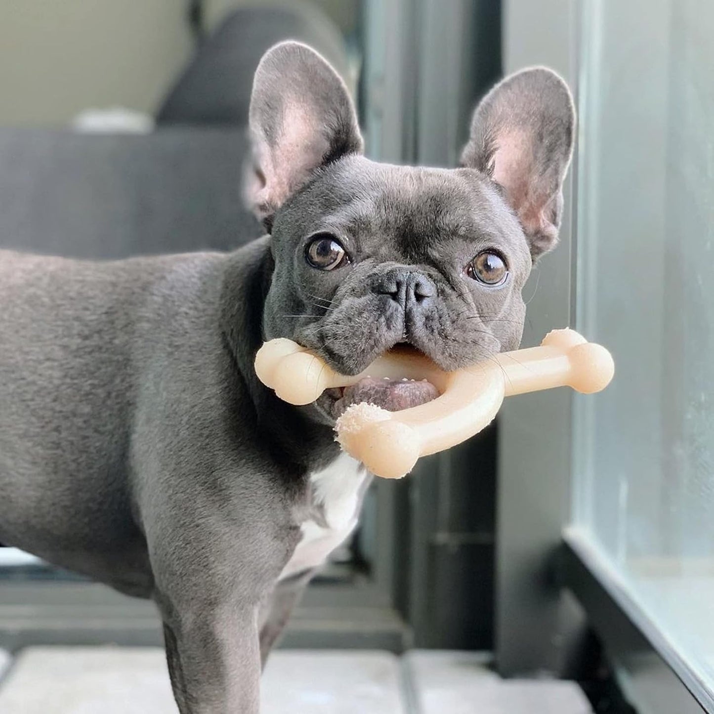 Nylabone Dura Chew Wishbone Medium