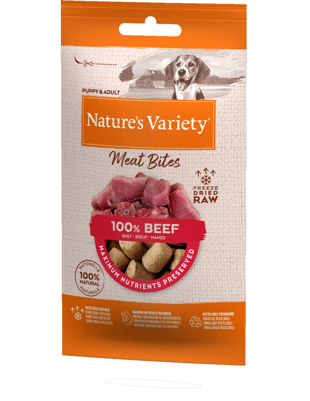 Natures Variety Freeze Dried Meat Bites Beef 20g