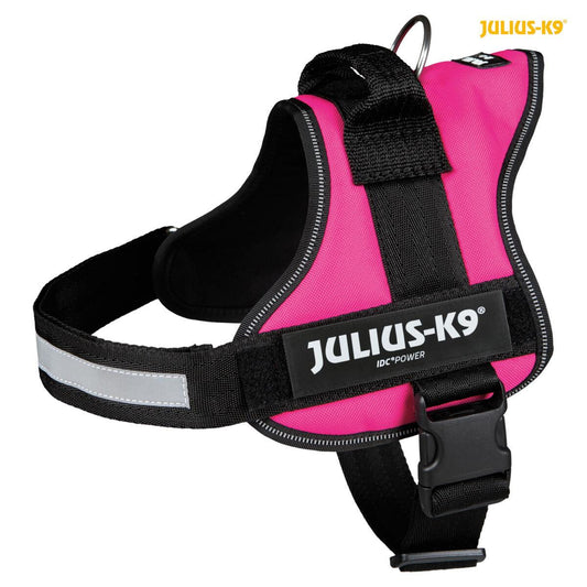 Julius K9 Powerharness XX-Large Size 3 82-115Cm, Fuchsia