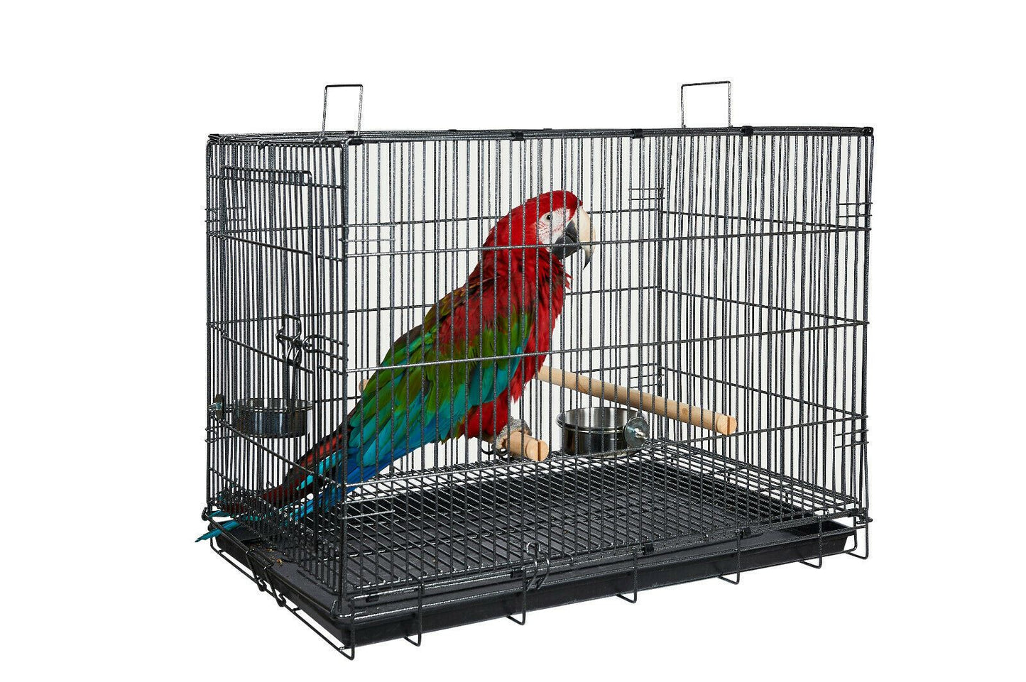 Liberta Transporter Large Parrot Carrying Cage