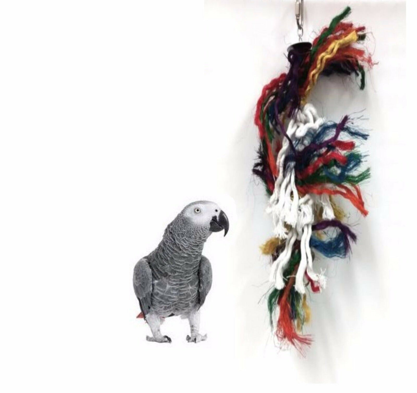 The Bird House Parrot Toy Plucker