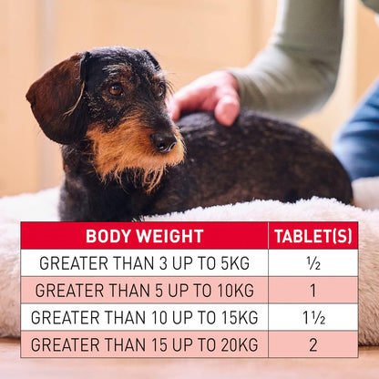 Beaphar Wormclear Dogs Up To 20kg 2 Tablets