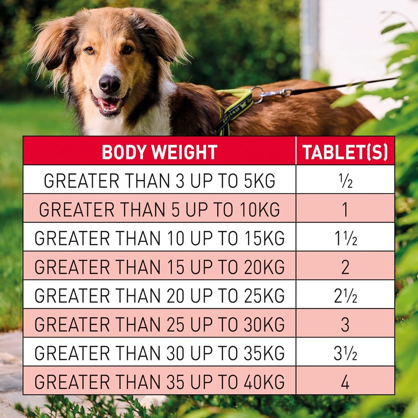 Beaphar Wormclear Dogs Up To 40kg 4 Tablets