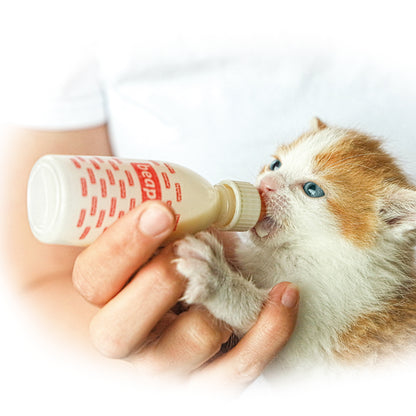 Beaphar Kitty Milk 500g