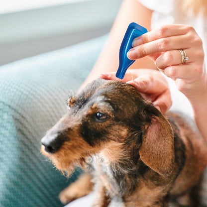 Beaphar Dog Calming Spot On 3 Weeks Cover