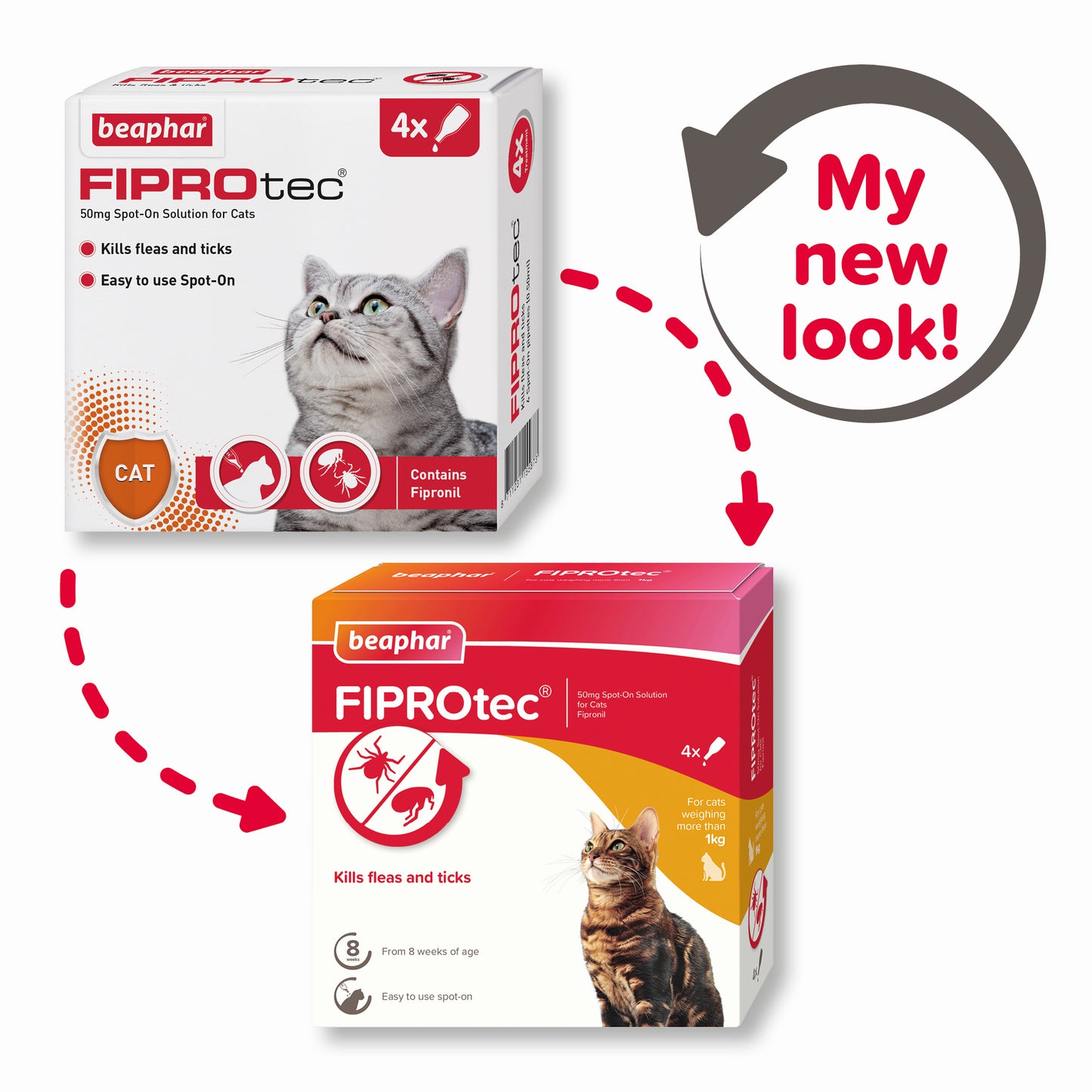 Beaphar Fiprotec Cat 1 Treatment