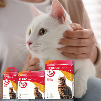 Beaphar Fiprotec Cat 1 Treatment