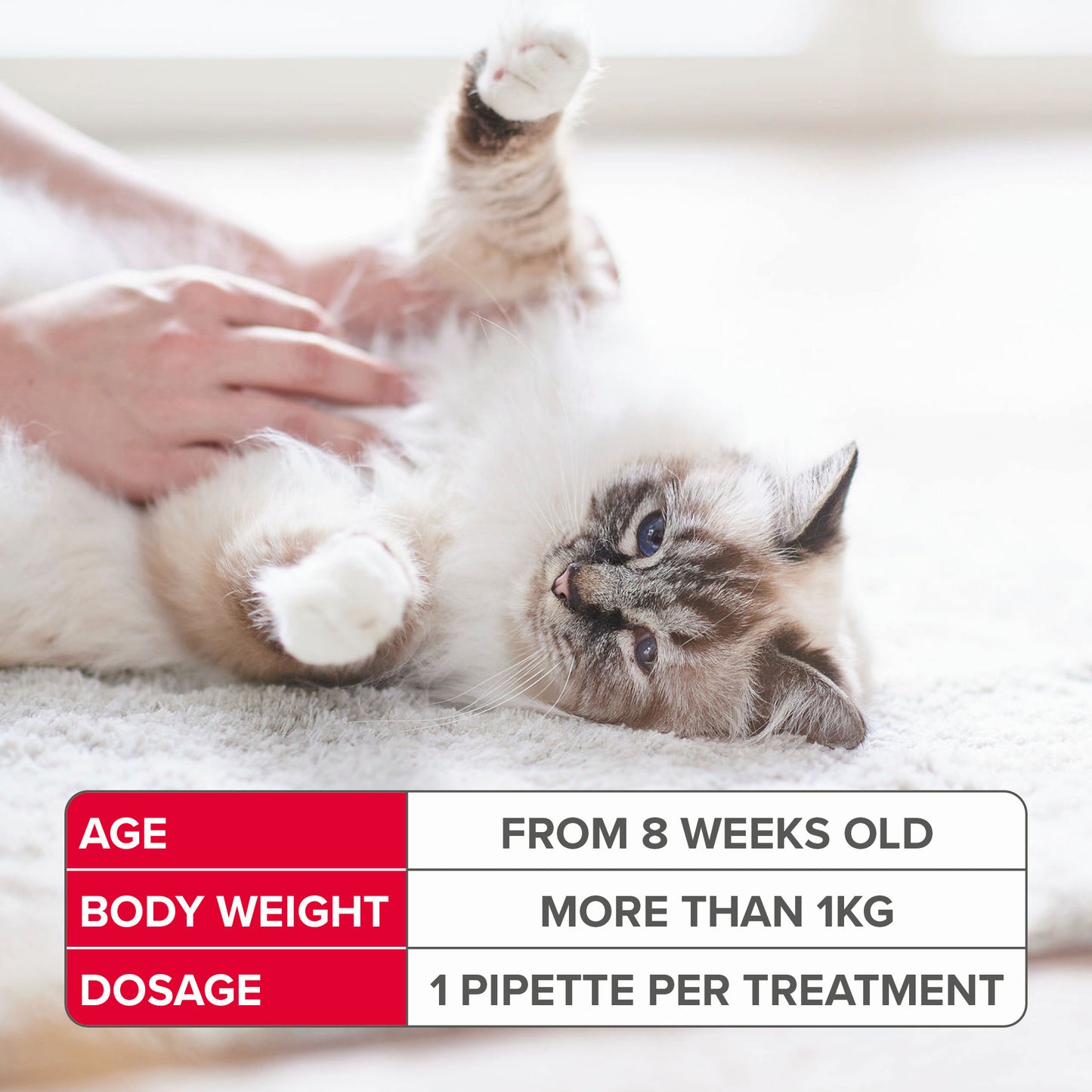 Beaphar Fiprotec Cat 1 Treatment