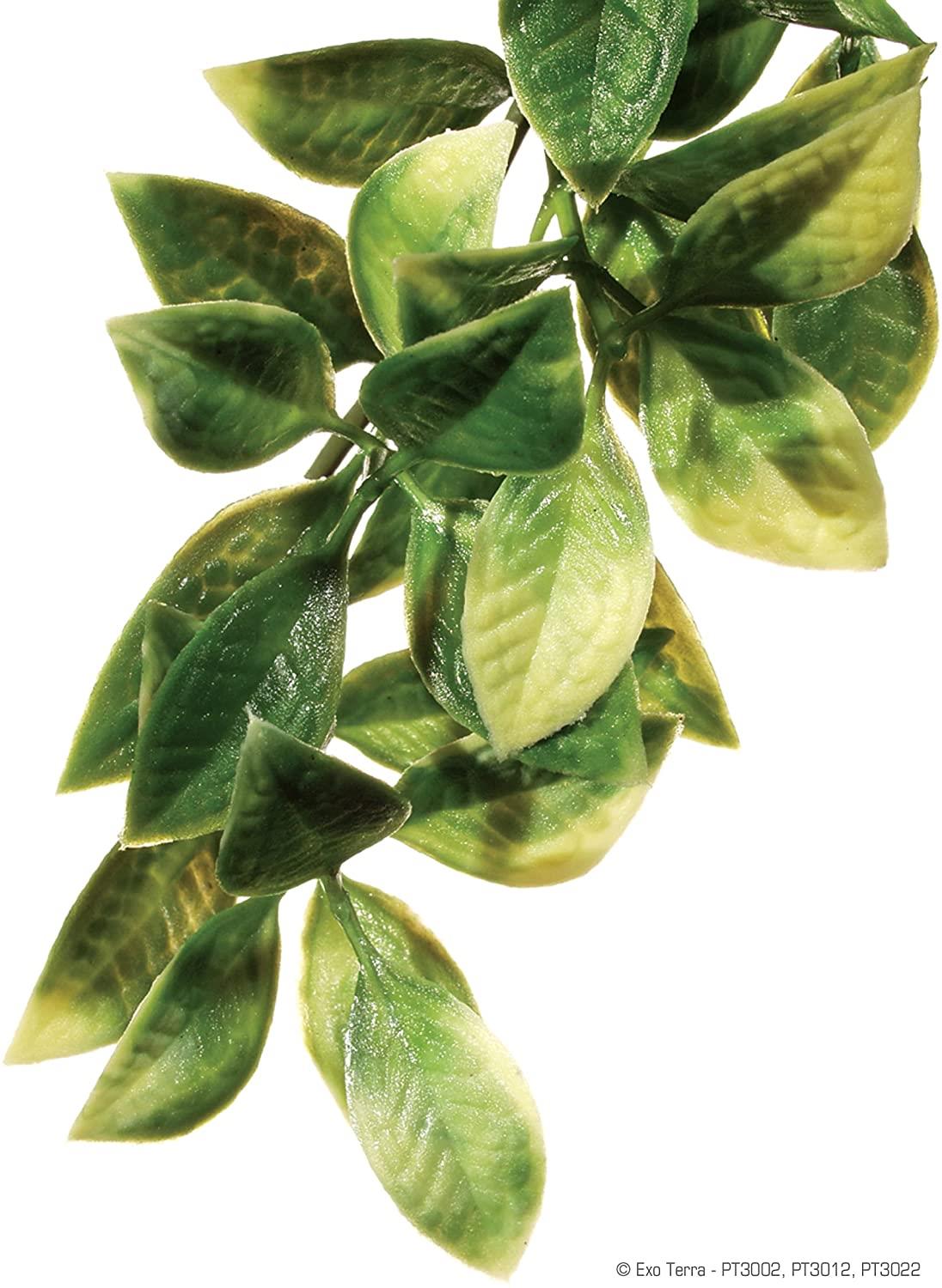 Exo Terra Mandarin Medium Jungle Plant