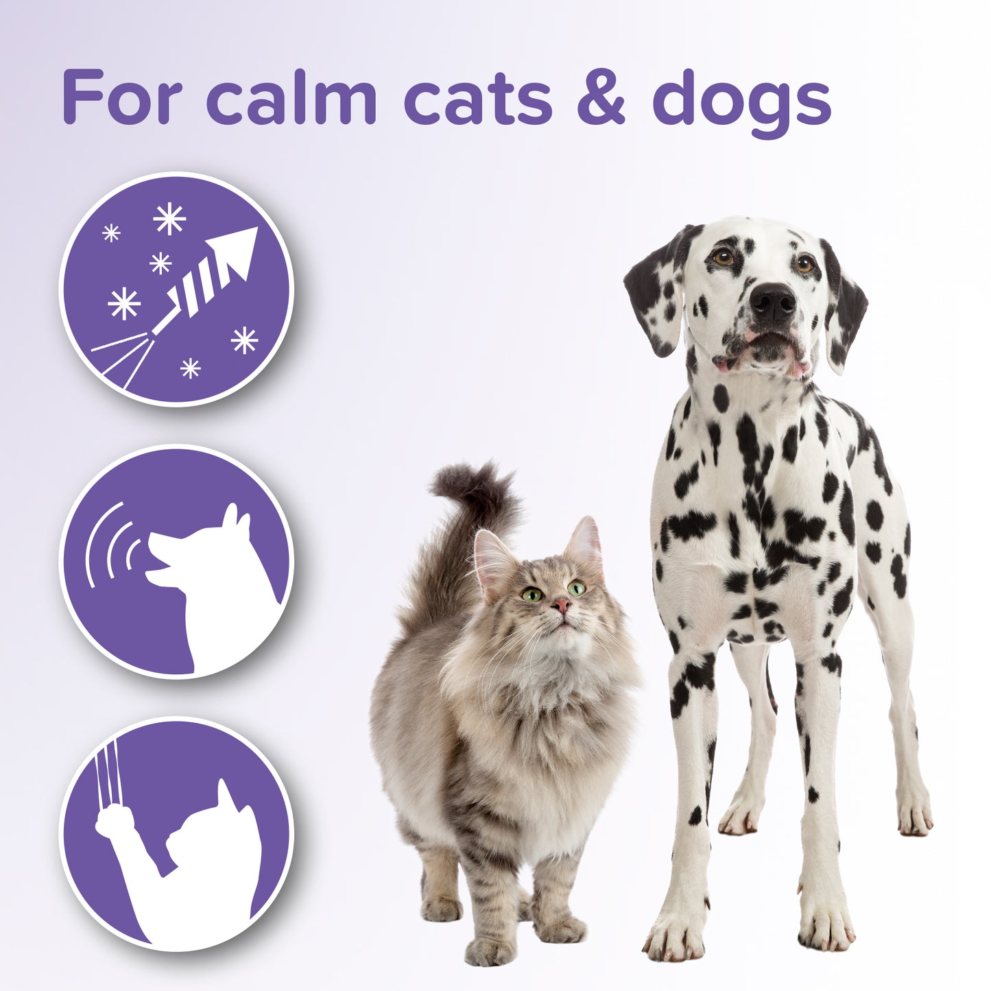 Beaphar Calming Tablets For Cats & Dogs 20 Tablets