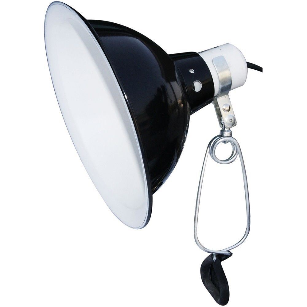 Komodo Dome Clamp Lamp Black 60w 14cm