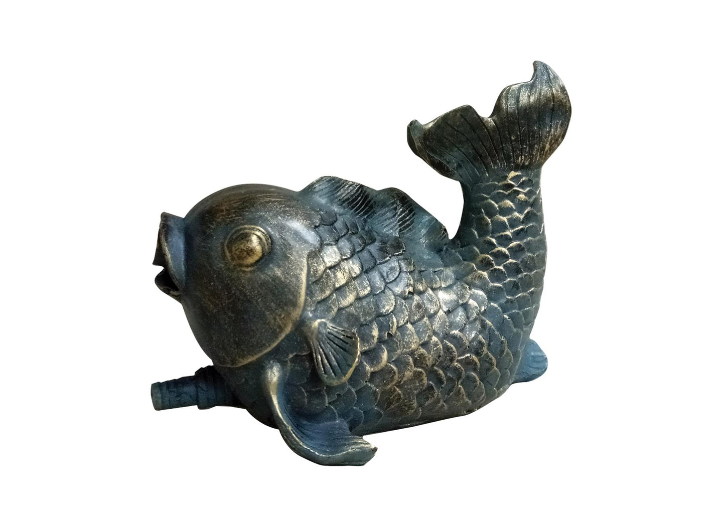 Bermuda Ornamental Pond Spitter Fish