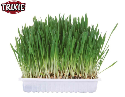 Trixie Small Animal Grass 100g