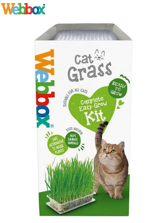 Webbox Cat Grass 120g