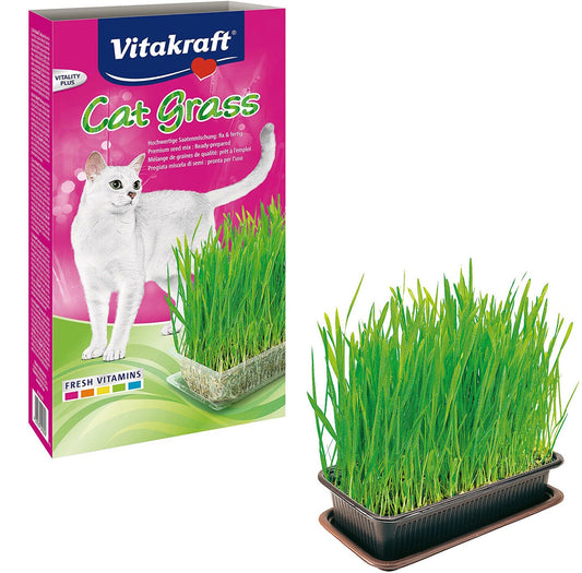 Vitakraft Cat Grass 120g