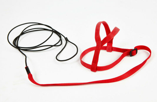 Adventure Bird Harness X Small Red