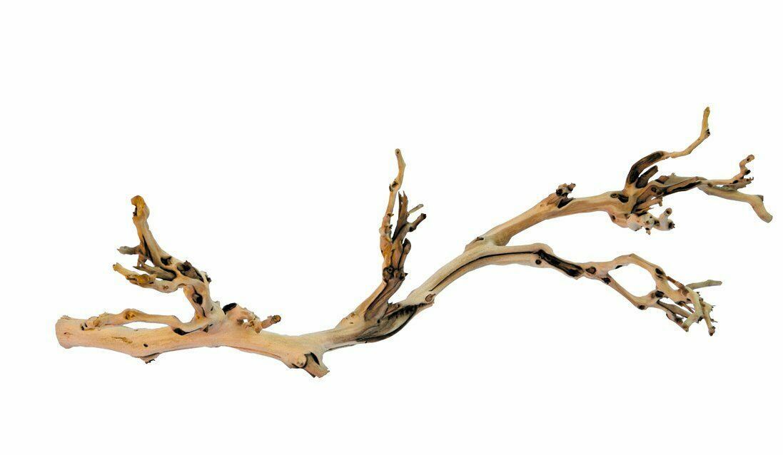 Exo Terra Forest Branch Small 30cm