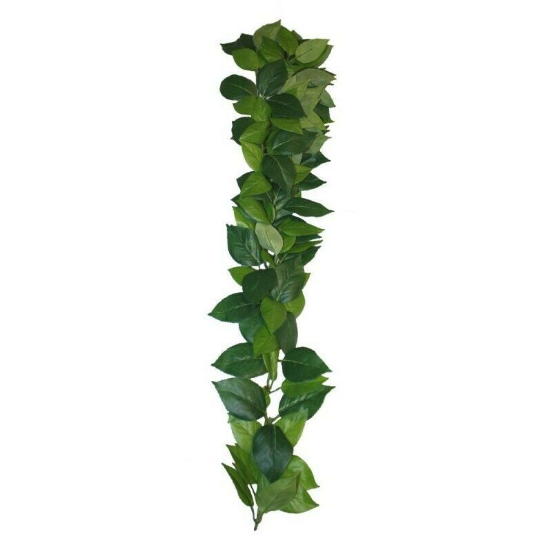 Komodo Ficus Silk Vine Large 60cm